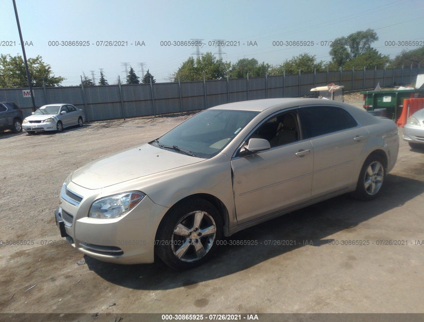 1G1ZD5EB8AF146186