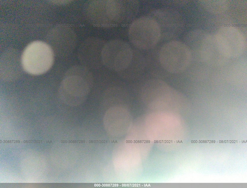 WBA8E1G51JNU91529