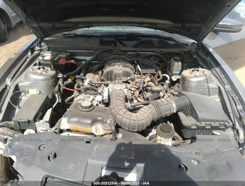1ZVBP8ANXA5126610