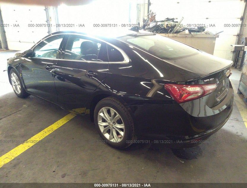 1G1ZD5ST6KF146217