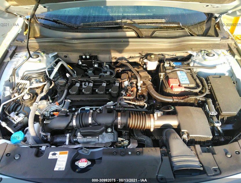 1HGCV1F38MA066318