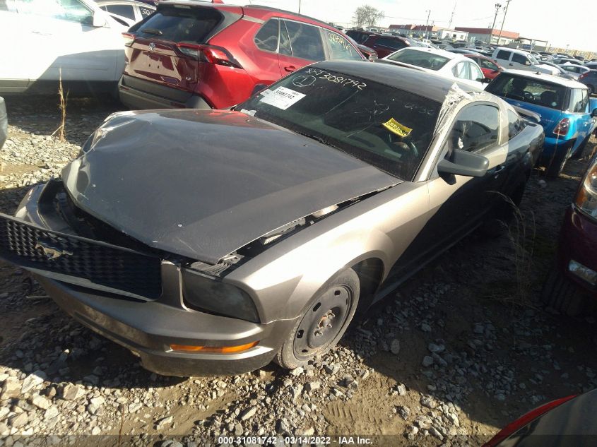 2005 Ford Mustang Deluxe/Premium VIN: 1ZVFT80N555254144 Lot: 31081742