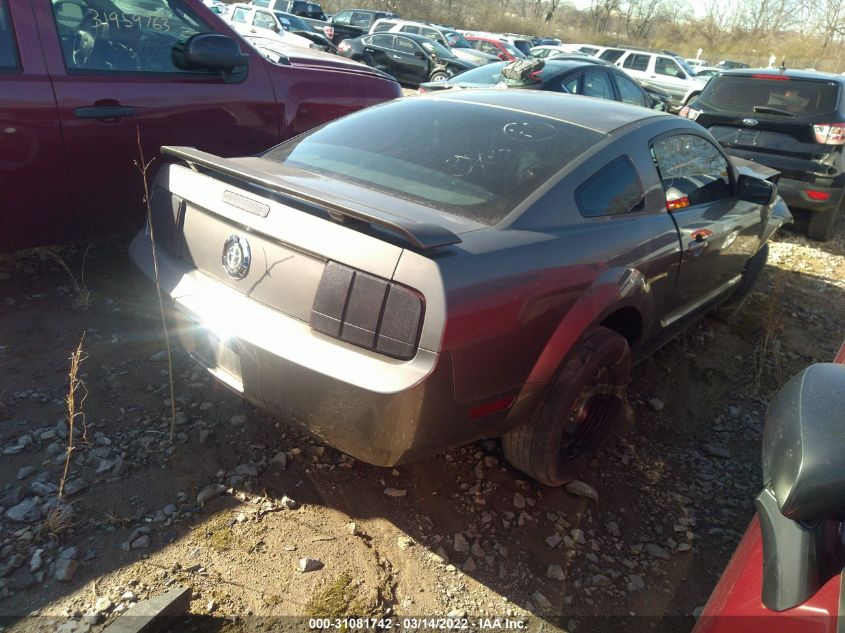 2005 Ford Mustang Deluxe/Premium VIN: 1ZVFT80N555254144 Lot: 31081742