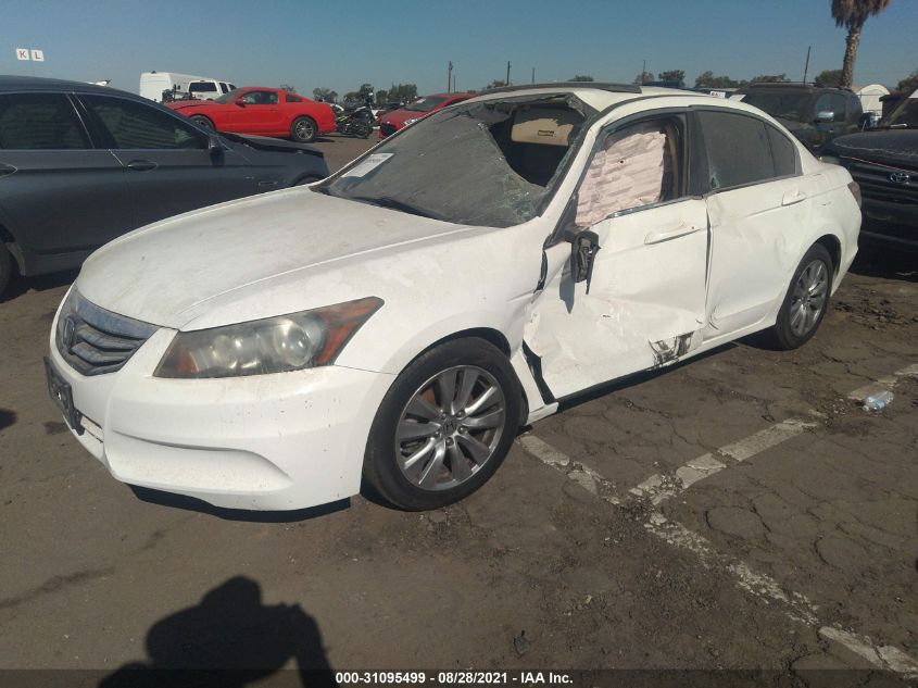 2011 Honda Accord 2.4 Ex-L VIN: 1HGCP2F87BA058395 Lot: 31095499