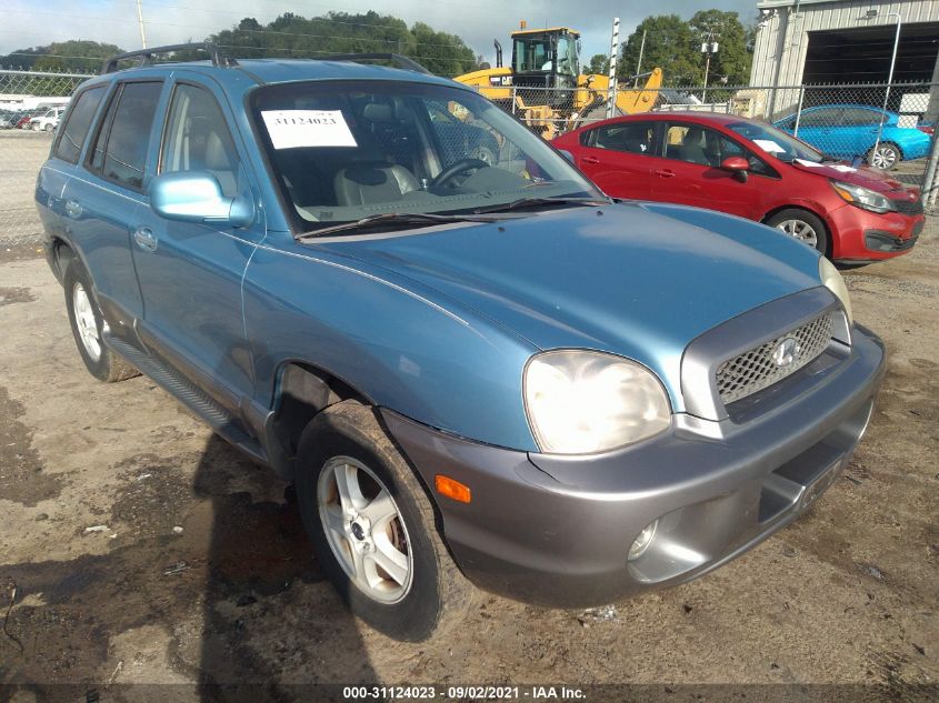 2003 Hyundai Santa Fe Lx/Gls VIN: KM8SC73E03U554941 Lot: 31124023