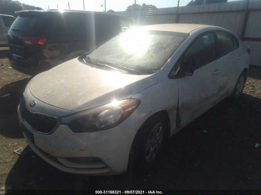 2016 Kia Forte Lx VIN: KNAFK4A69G5572192 Lot: 31168321