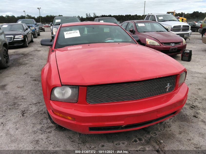 2009 Ford Mustang V6/V6 Premium VIN: 1ZVHT80N995103998 Lot: 31307372