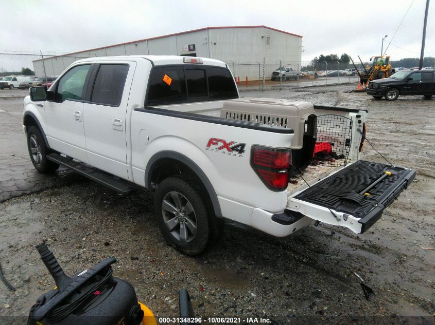 2014 Ford F-150 Fx4 VIN: 1FTFW1EF9EFA23244 Lot: 31348296