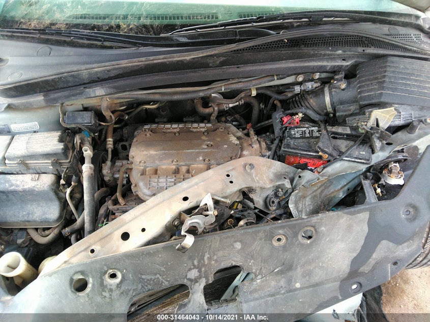 2007 Honda Odyssey Ex VIN: 5FNRL38497B040239 Lot: 31464043