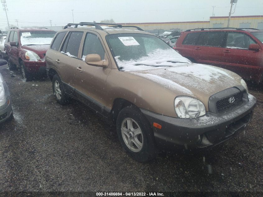 2004 Hyundai Santa Fe Lx/Gls VIN: KM8SC13E64U822518 Lot: 31486694