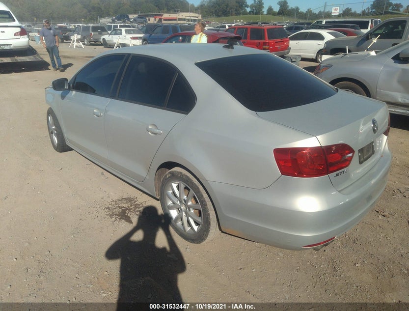 3VWDX7AJ3BM013447