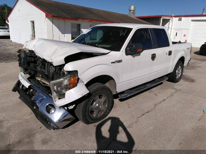 2012 Ford F-150 Xlt VIN: 1FTFW1EF7CFC50610 Lot: 31666459