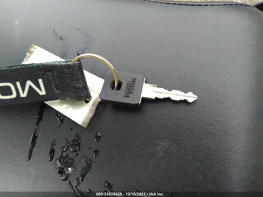 2020 Harley-Davidson Xl1200 X VIN: 1HD1LC31XLB422897 Lot: 31829825