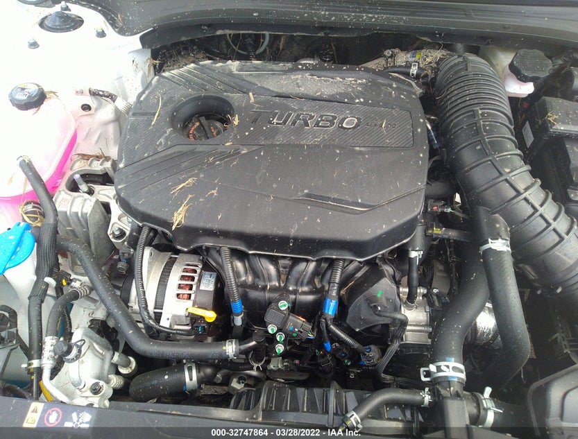 3KPF44AC6NE446246