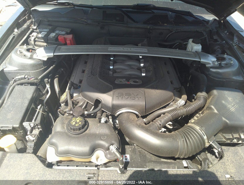 1ZVBP8CF8E5218584