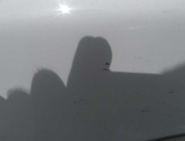 3N1AB7AP6FL639386