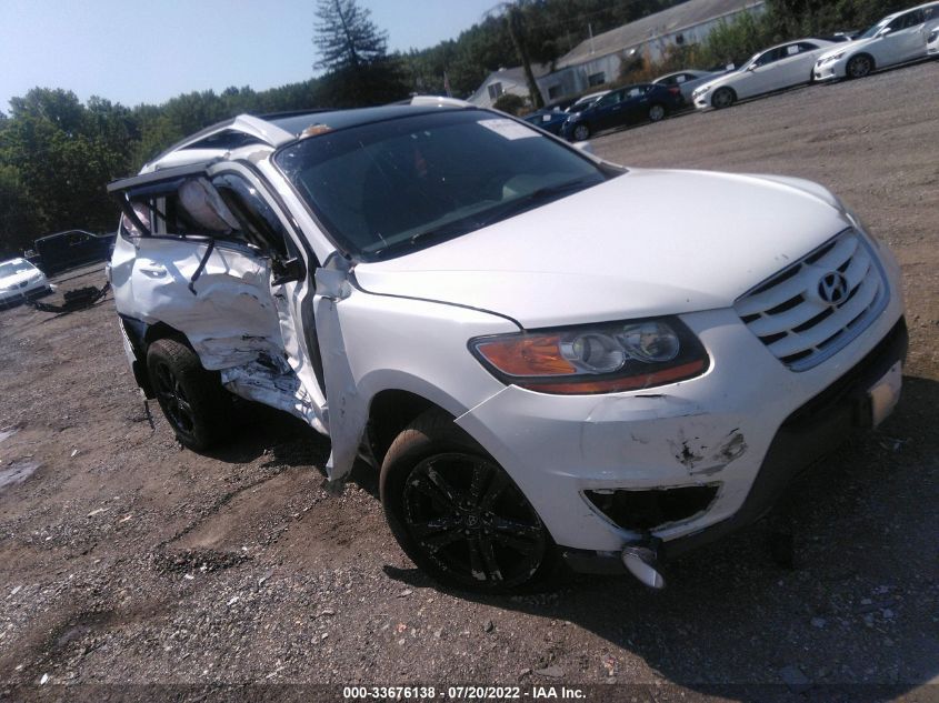 2010 Hyundai Santa Fe Se VIN: 5NMSHDAG7AH354362 Lot: 33676138