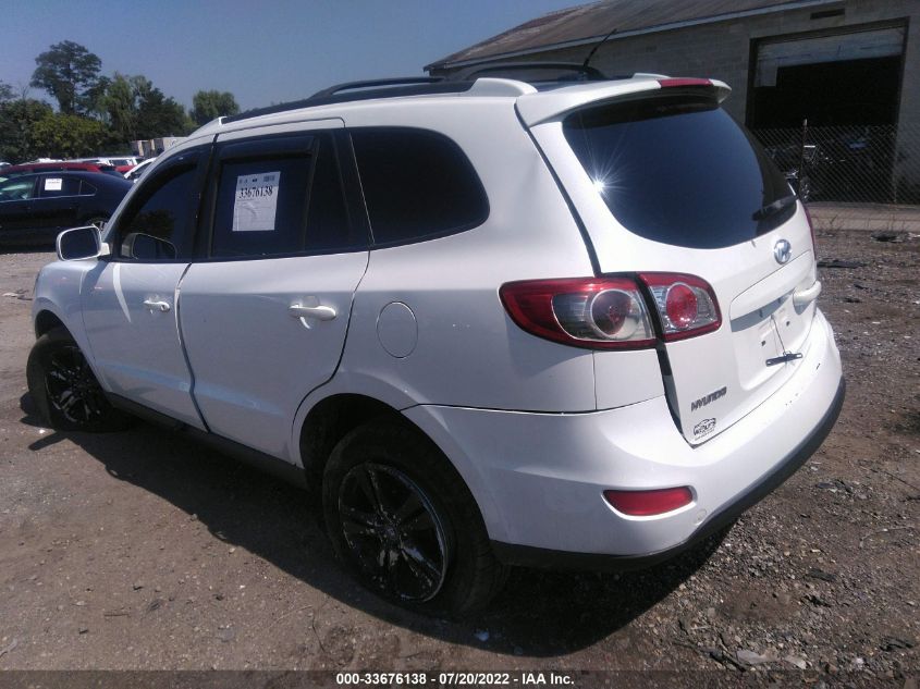 2010 Hyundai Santa Fe Se VIN: 5NMSHDAG7AH354362 Lot: 33676138