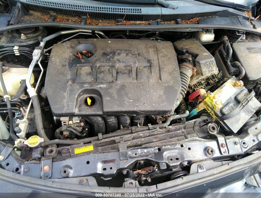 2T1BU4EEXDC950161