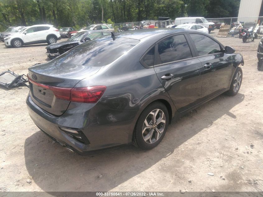 2019 Kia Forte Lxs VIN: 3KPF24AD5KE131769 Lot: 33750541