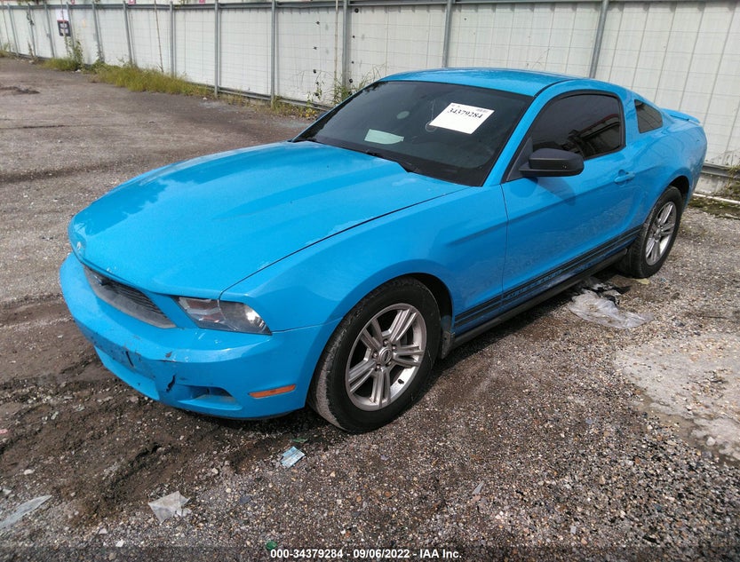 1ZVBP8ANXA5146954