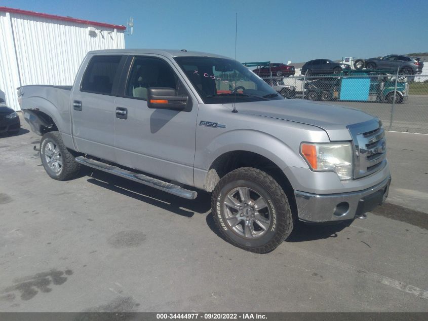 2009 Ford F-150 Xlt VIN: 1FTPW14V79FA42877 Lot: 34444977