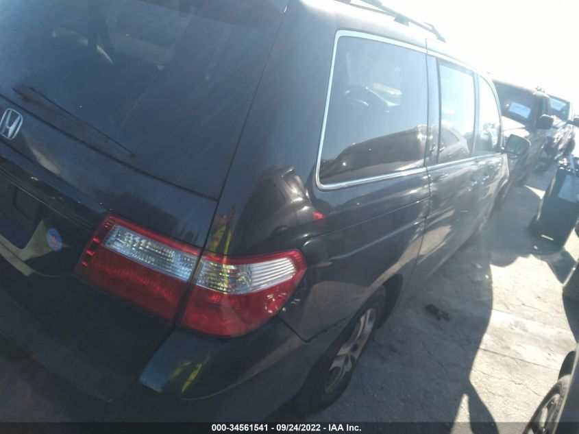 2006 Honda Odyssey Ex-L VIN: 5FNRL38696B084483 Lot: 34561541