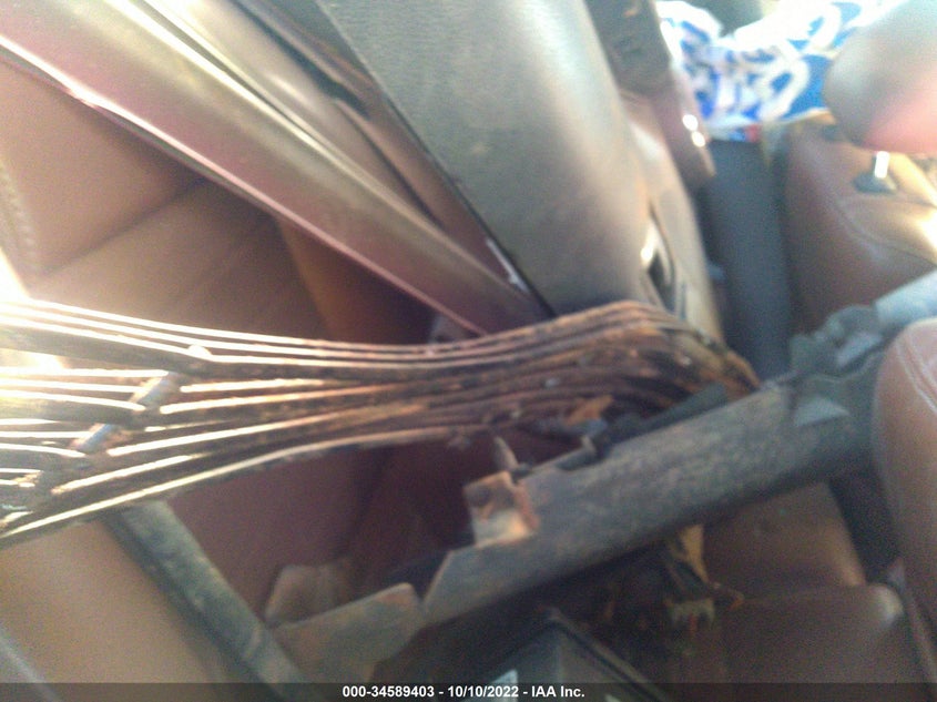 2010 Ford Mustang Gt/Gt Premium VIN: 1ZVBP8CH3A5151890 Lot: 34589403