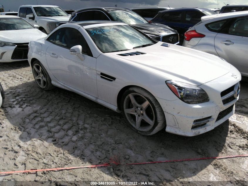 VIN WDDPK5HA5EF083275 2014 Mercedes-Benz SLK-Class,... no.1