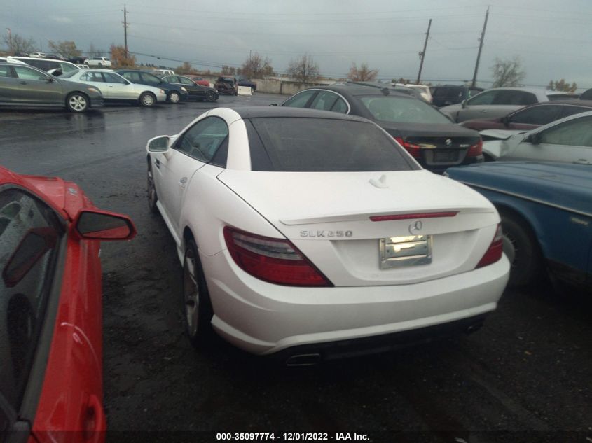 VIN WDDPK4HA4EF081088 2014 Mercedes-Benz SLK-Class,... no.3