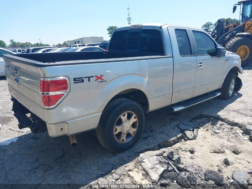 2010 Ford F-150 Stx/Xl/Xlt VIN: 1FTEX1E88AFA41030 Lot: 35187279