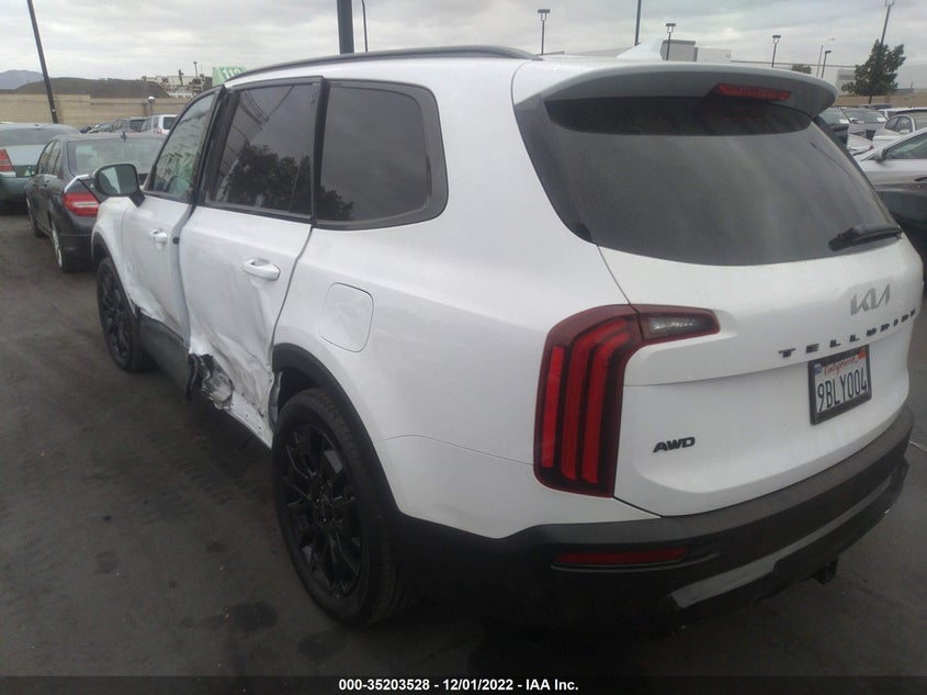 2022 Kia Telluride Sx VIN: 5XYP5DHC1NG276890 Lot: 35203528