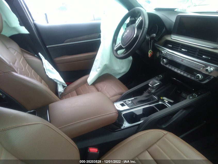 2022 Kia Telluride Sx VIN: 5XYP5DHC1NG276890 Lot: 35203528