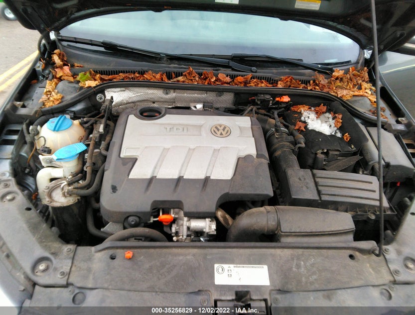 3VWLL7AJ1DM367767