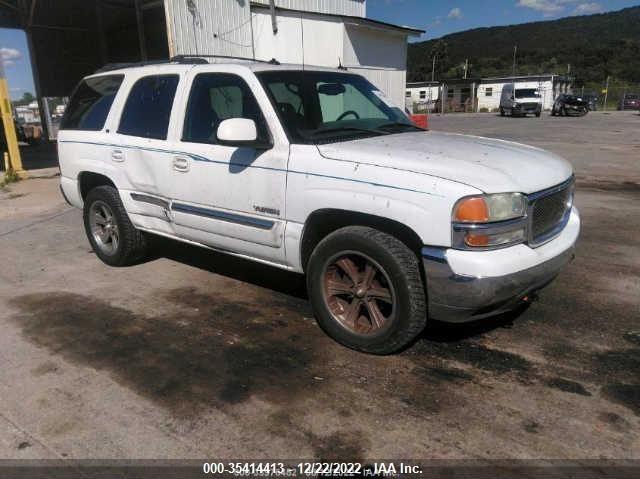 2003 GMC Yukon Slt VIN: 1GKEK13TX3R143019 Lot: 35414413