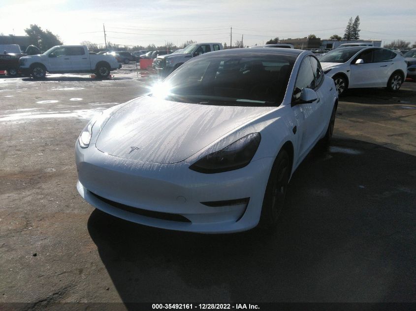 2023 TESLA MODEL 3 - 5YJ3E1EA3PF431434