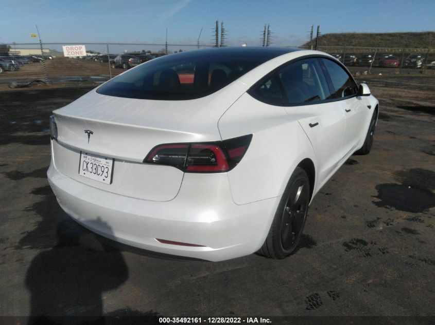 2023 Tesla Model 3 VIN: 5YJ3E1EA3PF431434 Lot: 35492161