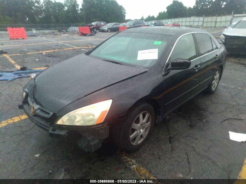 2005 Honda Accord 3.0 Ex VIN: 1HGCM66555A010369 Lot: 35496666