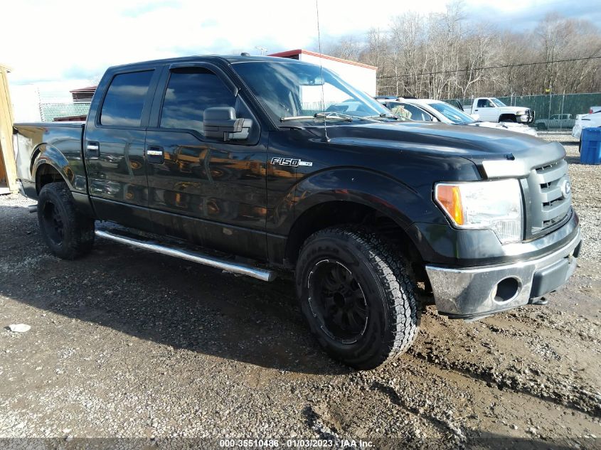 2013 Ford F-150 Xlt VIN: 1FTFW1EFXDKF46665 Lot: 35510486