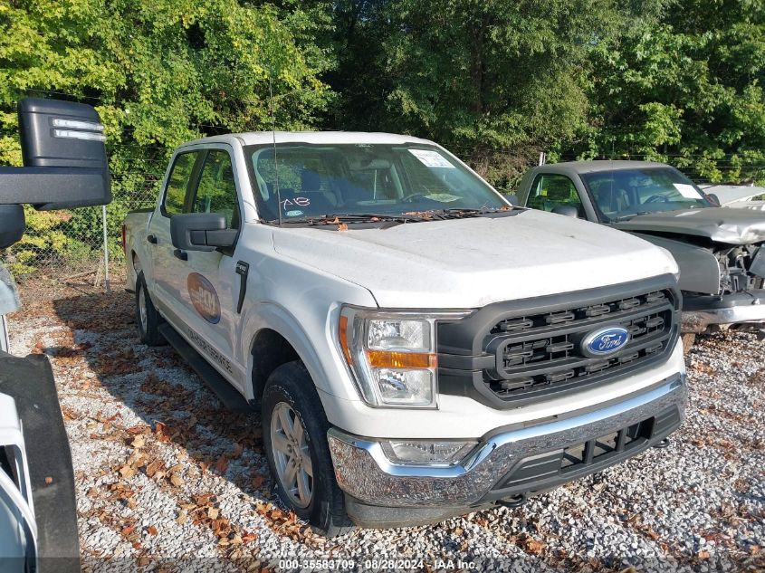 2021 Ford F-150 Xl VIN: 1FTEW1EP7MKE32689 Lot: 35583709