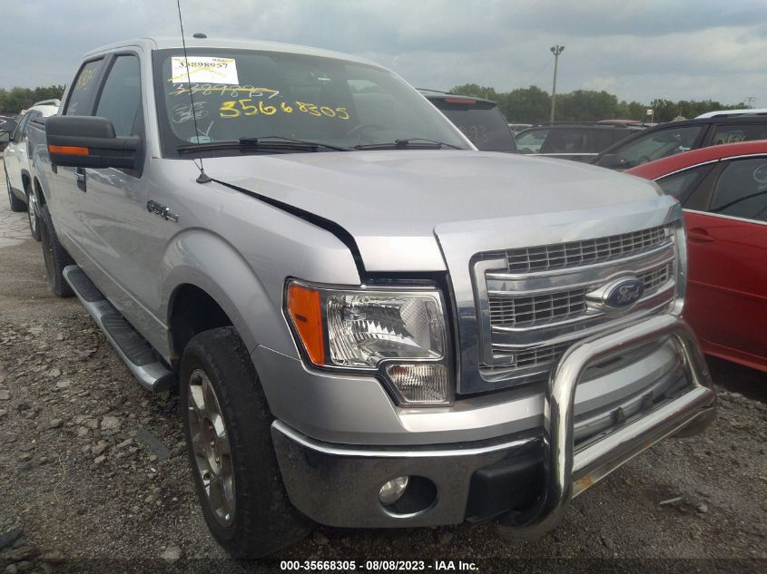 2013 Ford F-150 Xlt VIN: 1FTFW1EF0DKG00782 Lot: 35668305