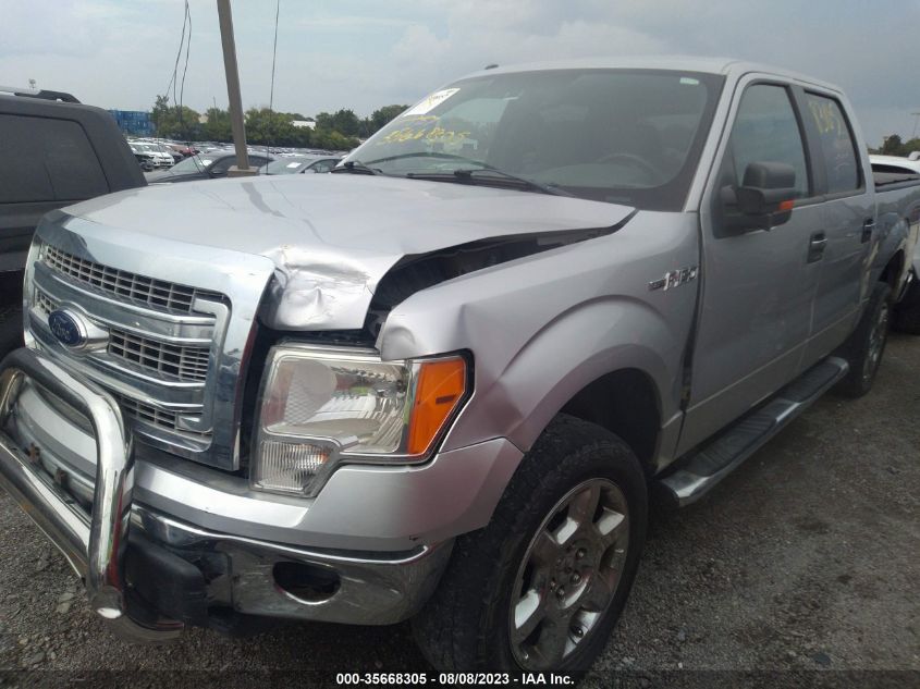 2013 Ford F-150 Xlt VIN: 1FTFW1EF0DKG00782 Lot: 35668305