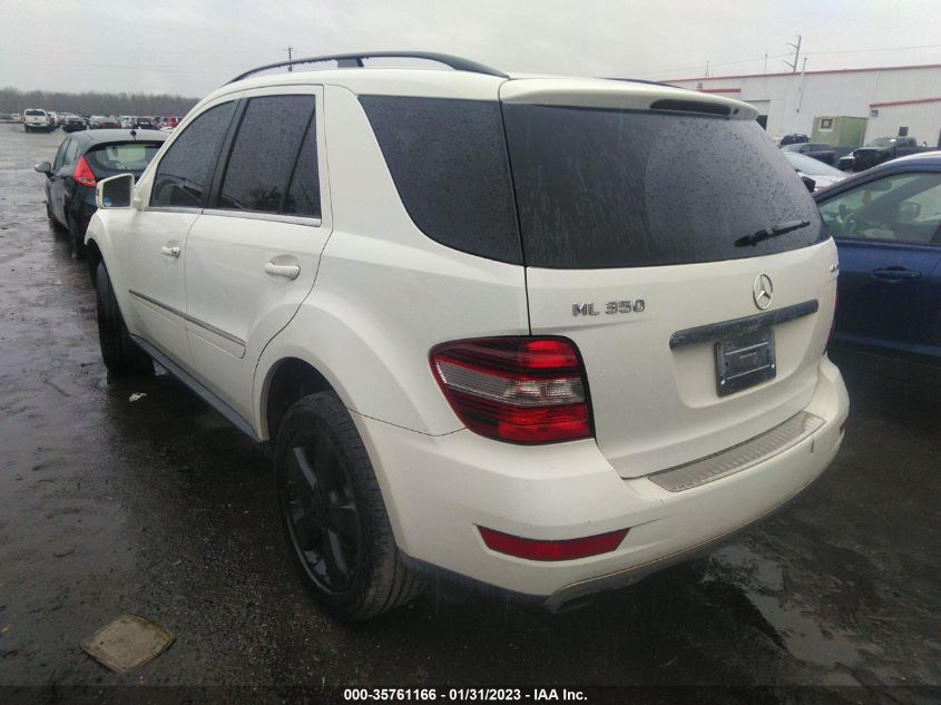 2011 Mercedes-Benz Ml 350 VIN: 4JGBB8GB9BA707437 Lot: 35761166