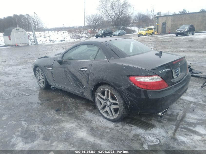 VIN WDDPK4HA8EF079473 2014 Mercedes-Benz SLK-Class,... no.3