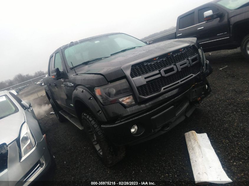 2014 Ford F-150 Fx4 VIN: 1FTFW1ET1EFB07516 Lot: 35975215