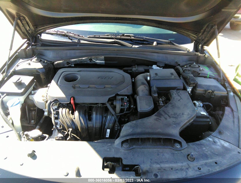 5XXGT4L36KG312912