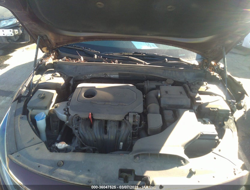 5XXGT4L31HG156819
