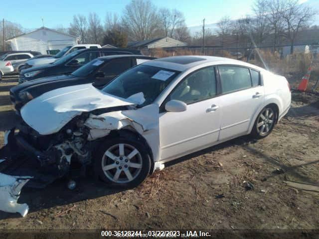 2004 Nissan Maxima 3.5 Sl VIN: 1N4BA41E64C906042 Lot: 36128244