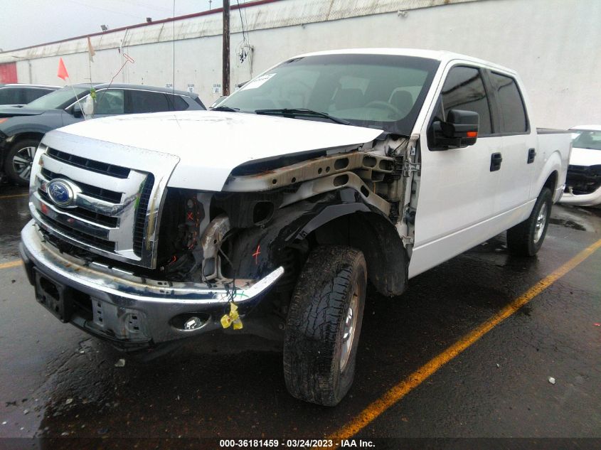 1FTEW1C84AF355034 2010 Ford F-150 Xl/Xlt