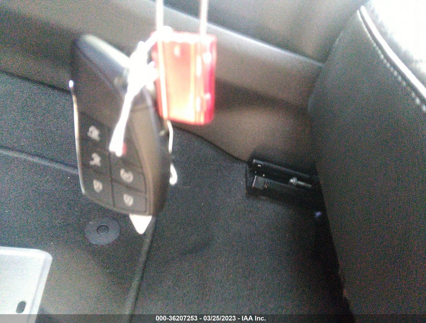 1GNSCNKD8MR245599